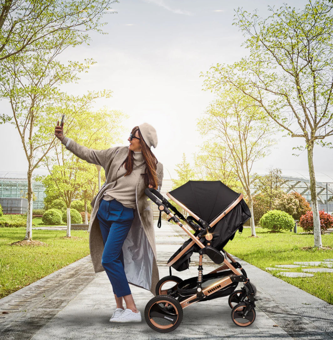 Bee Black & Gold Stroller
